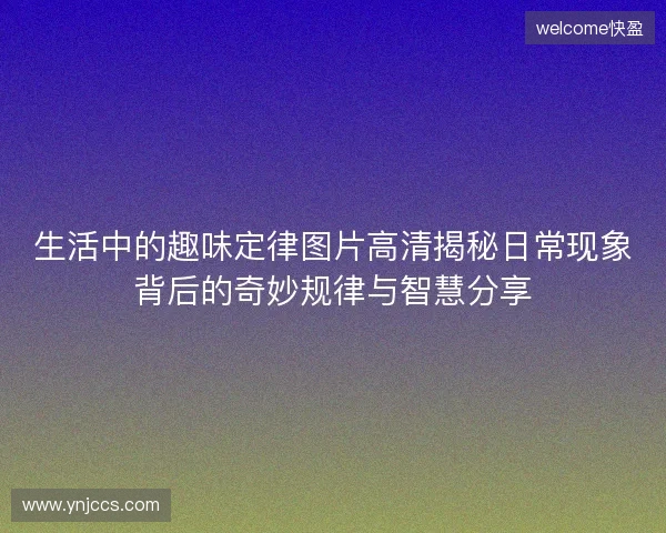 生活中的趣味定律图片高清揭秘日常现象背后的奇妙规律与智慧分享